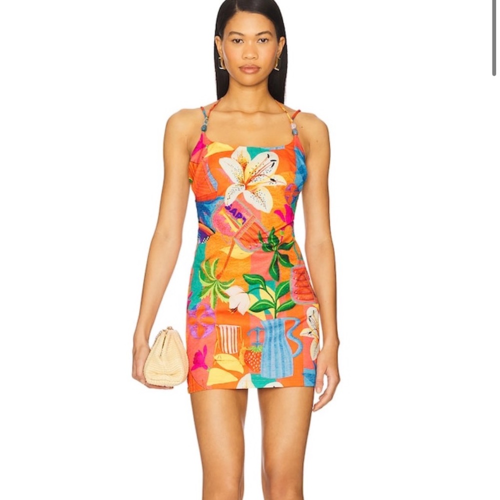 Kulani Kini (from Revolve) Floral Print Mini Dress